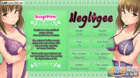 ������С��Negligee������Ӳ�̰�